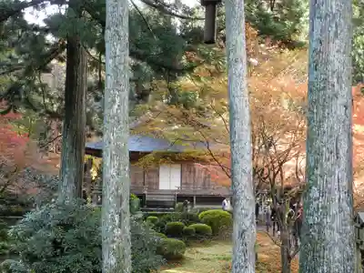 三千院門跡(京都府)