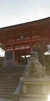 清水寺の狛犬