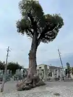 永福寺の{uncategorized: "未分類", other: "その他", undefined: "問題あり", building: "その他建物", grave: "お墓", sacred_gate: "鳥居", guardian: "狛犬", statue: "像", buddha: "仏像", history: "歴史", nature: "自然", garden: "庭園", animal: "動物", pagoda: "塔", temizu: "手水舎", mountain_gate: "山門・神門", sanctuary: "本殿・本堂", subordinate: "末社・摂社", art: "芸術", scenery: "景色", jizo: "地蔵", ema: "絵馬", goshuin: "御朱印", omikuji: "おみくじ", items: "授与品その他", amulet: "お守り", goshuincho: "御朱印帳", eats: "食事", festival: "お祭り", votive_dance: "神楽", shichigosan: "七五三参", wedding: "結婚式", experience: "体験その他", initially: "初詣", around: "周辺", anti_infection: "感染症対策"}