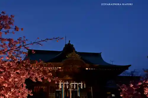 桜神宮(東京都)