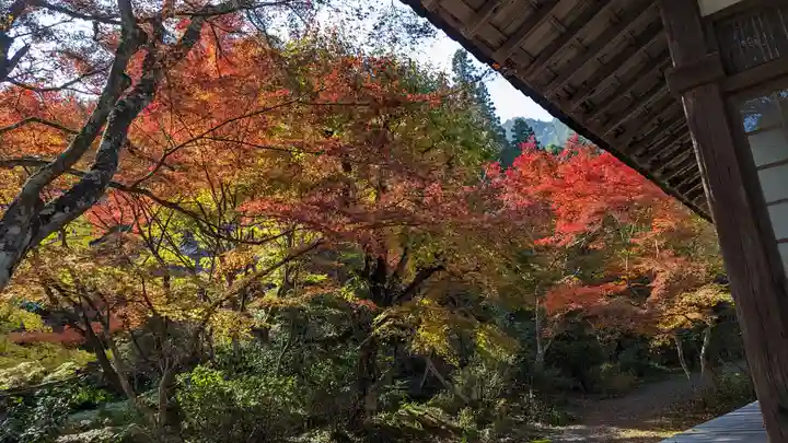 神藏寺(京都府)