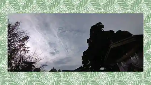 九重神社(埼玉県)