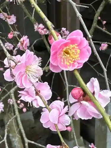 都美恵神社(三重県)