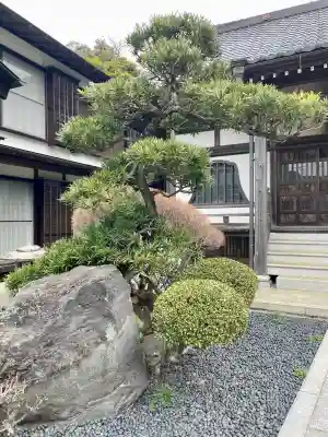 東漸寺(神奈川県)
