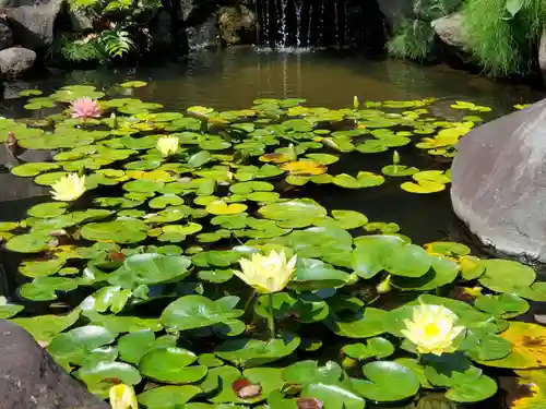 福祥寺（須磨寺）の庭園