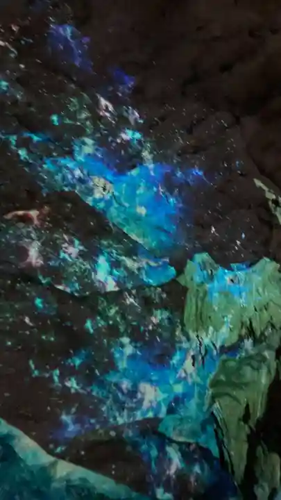 龍王神社の自然