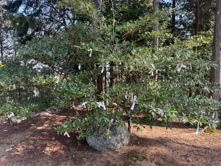 宗形神社(岡山県)