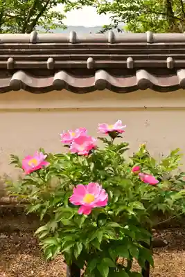 箸蔵寺(徳島県)