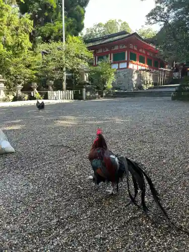 石上神宮(奈良県)