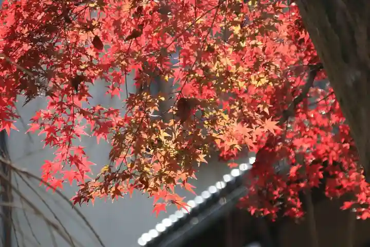 神炊館神社 ⁂奥州須賀川総鎮守⁂の自然