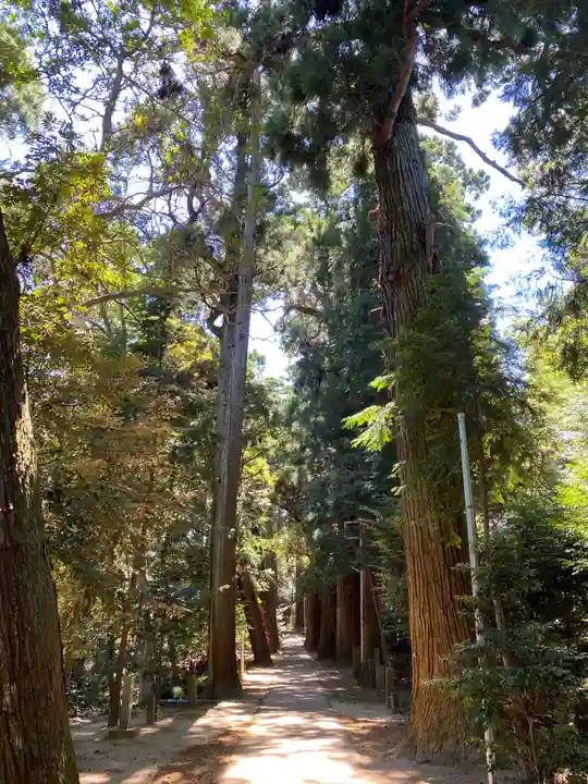 日吉神社(千葉県)