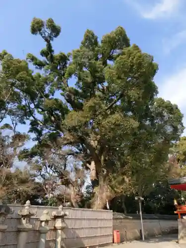 石清水八幡宮のその他建物