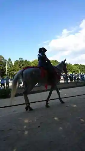 苗村神社のお祭り