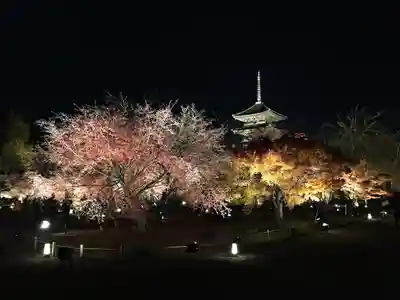 東寺（教王護国寺）(京都府)