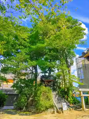 八坂神社の自然