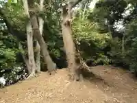 秋葉三尺坊大権現(神奈川県)