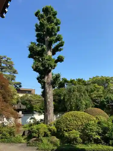 正覚院の{uncategorized: "未分類", other: "その他", undefined: "問題あり", building: "その他建物", grave: "お墓", sacred_gate: "鳥居", guardian: "狛犬", statue: "像", buddha: "仏像", history: "歴史", nature: "自然", garden: "庭園", animal: "動物", pagoda: "塔", temizu: "手水舎", mountain_gate: "山門・神門", sanctuary: "本殿・本堂", subordinate: "末社・摂社", art: "芸術", scenery: "景色", jizo: "地蔵", ema: "絵馬", goshuin: "御朱印", omikuji: "おみくじ", items: "授与品その他", amulet: "お守り", goshuincho: "御朱印帳", eats: "食事", festival: "お祭り", votive_dance: "神楽", shichigosan: "七五三参", wedding: "結婚式", experience: "体験その他", initially: "初詣", around: "周辺", anti_infection: "感染症対策"}