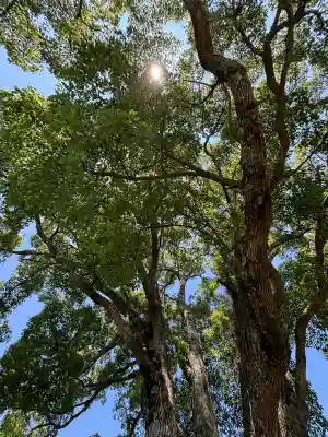 サムハラ神社 奥の宮(岡山県)
