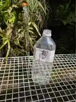 日光大室高龗神社(栃木県)