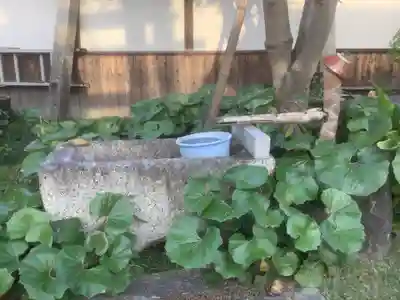 極楽寺の手水舎