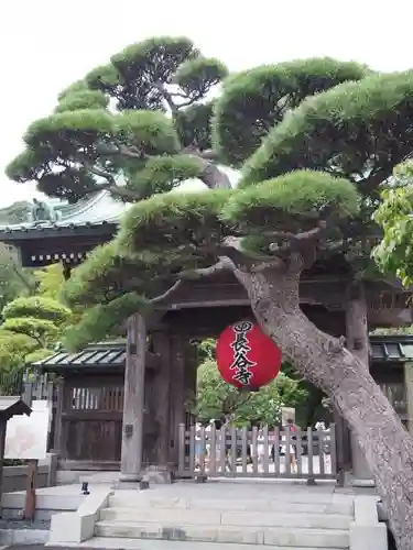 長谷寺の建物その他