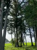 芳志戸の神社(栃木県)