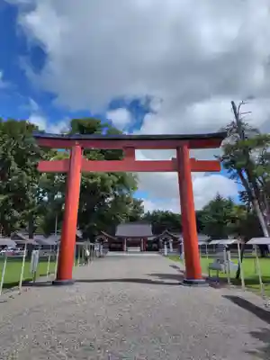 北海道護國神社の鳥居