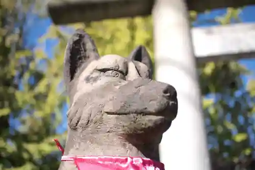 飛木稲荷神社の狛犬