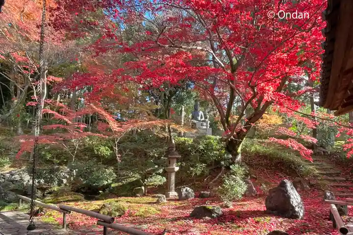 榮攝院(栄摂院)の自然