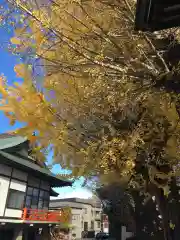 本龍寺(北海道)