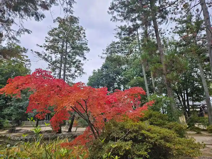 唐招提寺(奈良県)
