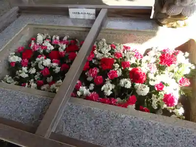 比々多神社の手水舎