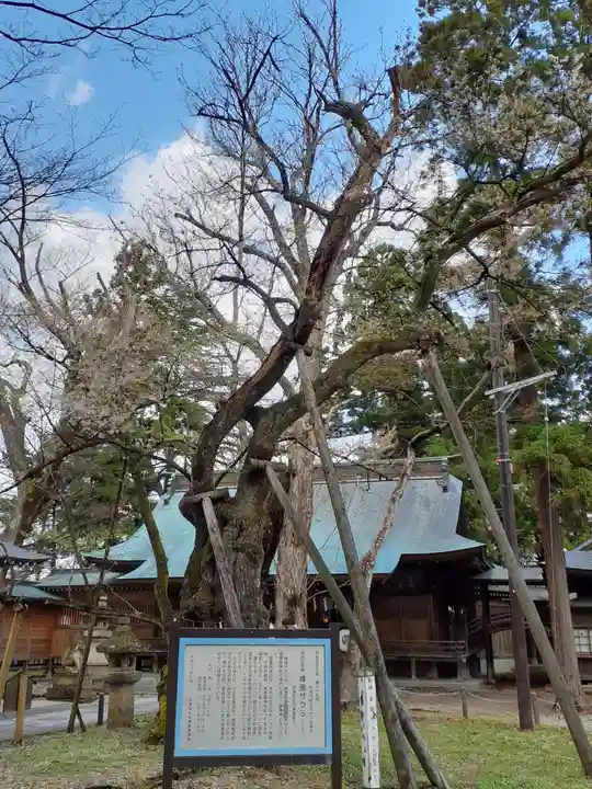 蠶養國神社の自然