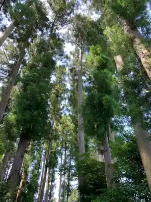 男山八幡神社の自然