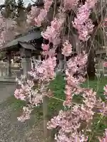 南湖神社の自然