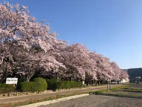 御上神社の自然