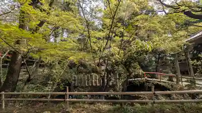 宝積寺(京都府)