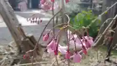 下御霊神社の自然