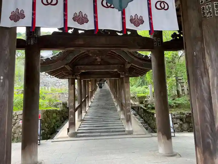 長谷寺(奈良県)