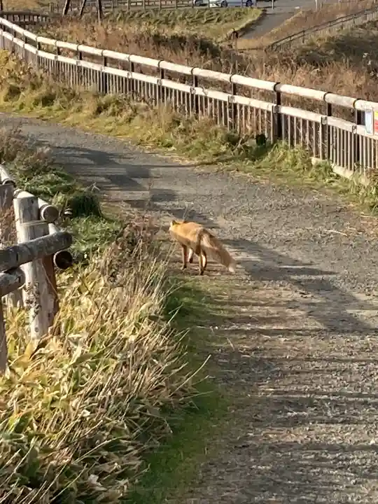 霧多布神社(北海道)