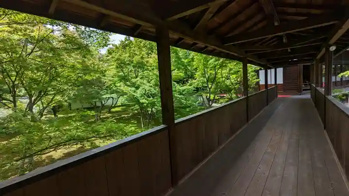 妙覺寺(妙覚寺)(京都府)