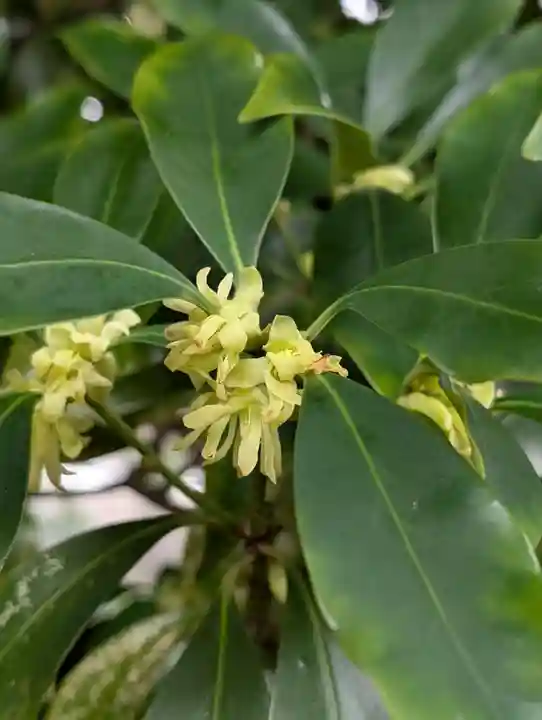 慶珊寺(神奈川県)