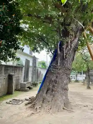 岩淵八雲神社(東京都)