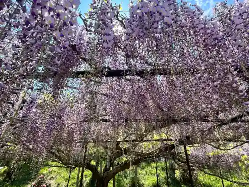天台宗 五大山 白毫寺(兵庫県)