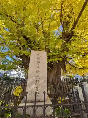 善福寺(東京都)