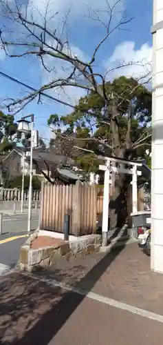 ムクノキ大明神の鳥居