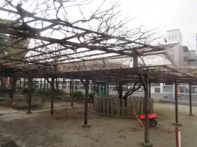 葛井寺(大阪府)