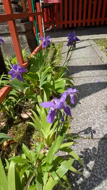 熊野神社(京都府)