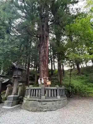 諏訪大社下社春宮(長野県)