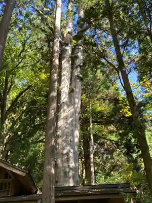 神坂神社(長野県)